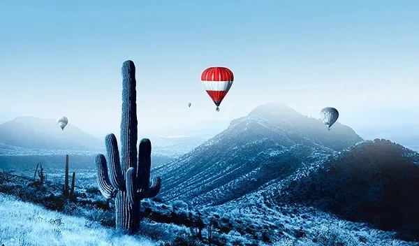 (Flights) - Great Service. Great Value. Great Flying. - 英超直播