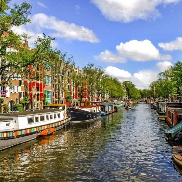 (Tours) - Elevate Your Travel Experience - 英超直播