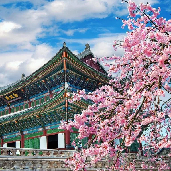 (Tours) - Elevate Your Travel Experience - 英超直播